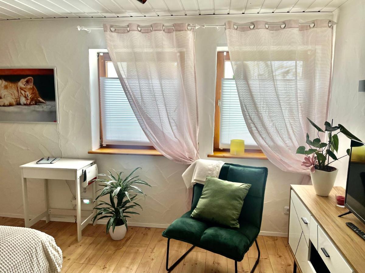 Apartment Balingen City 외부 사진