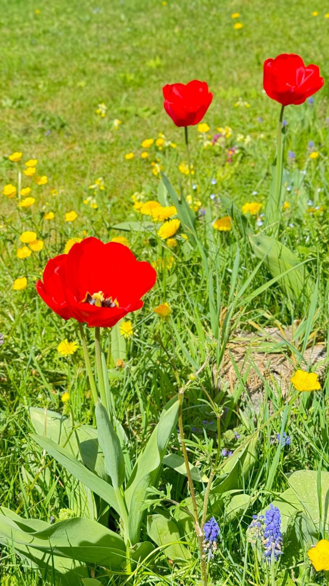 Apartment Balingen City 외부 사진